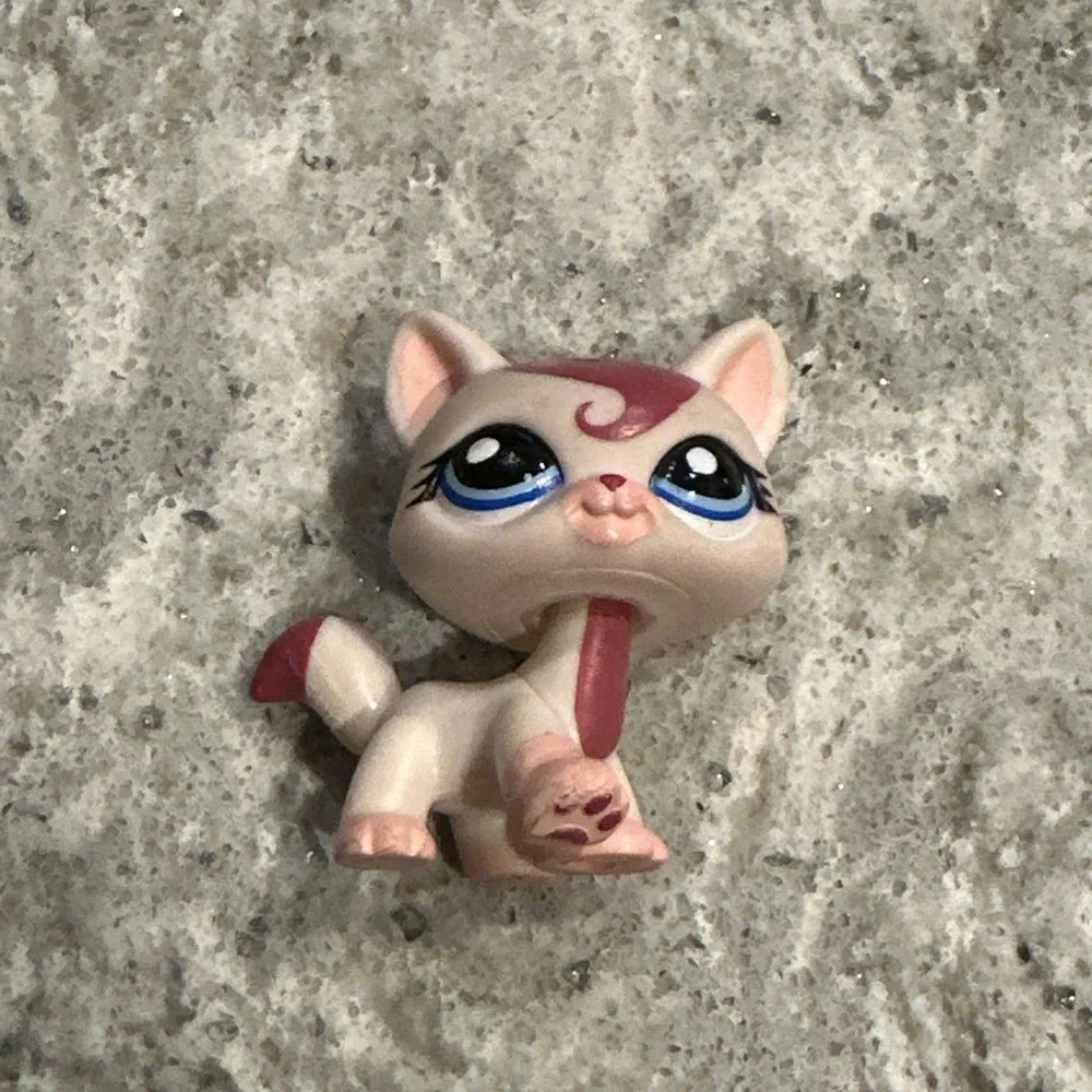 LPS #1679 LITTLEST PETSHOP ORIGINAL CHAT CAT AUTHENTIQUE MAINE COON HASBRO